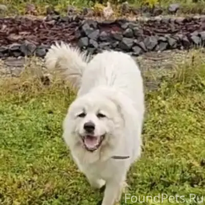 Здравствуйте! Пропустите, пожа...