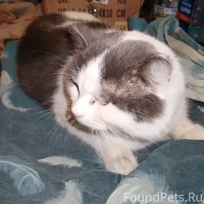 13 февраля на Руднике был найд...