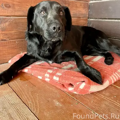 Друзья, нужна ваша помощь! Вче...