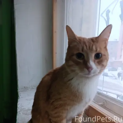 В нашем 1-ом подъезде на...