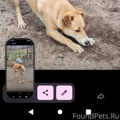 Здравствуйте В районе станции ...