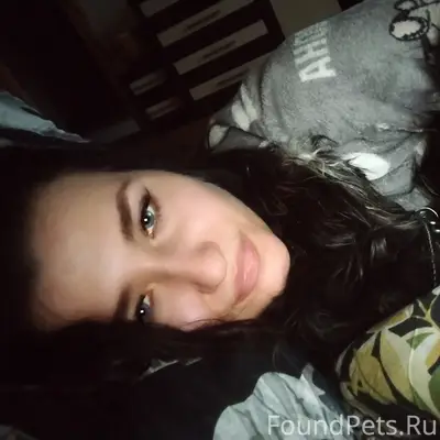 Найди собакена🤣