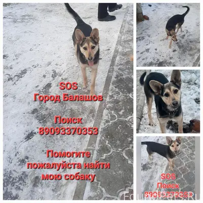 16.02.25г. в районе Захоперье....