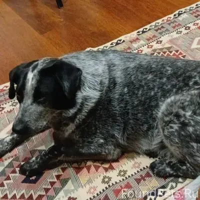 ❗️Ульяновск, помогите найти пр...