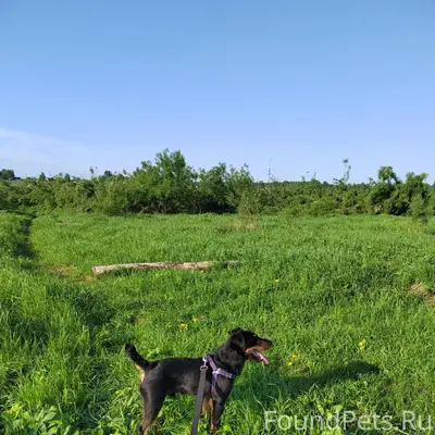СПб, Лен. Обл./Вологда!!! Тима...