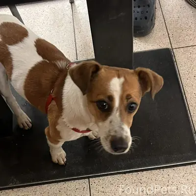 Тверь 14.02.26 в 18...