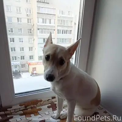 Сегодня 16 февраля, рано утром...