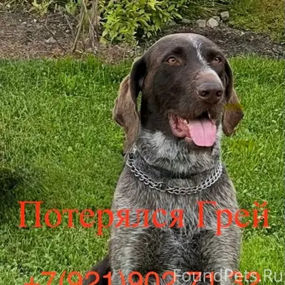 15.02.2026г. из дома в...