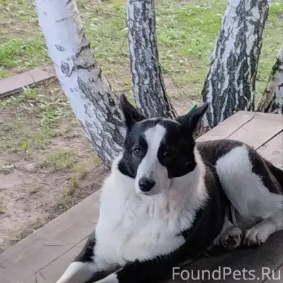 Св ночь с воскресенья на понед...