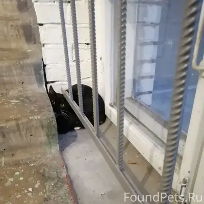 СПБ, Калининский р-н, улица Ка...