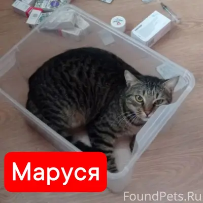 Морозовск Рн Одиссеи Помогите ...
