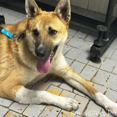 Екатеринбург Молодой активный ...