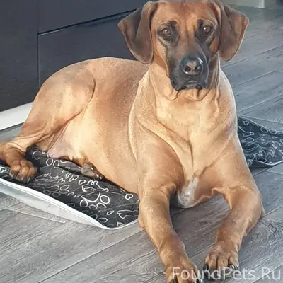 Помогите, пожалуйста, найти со...