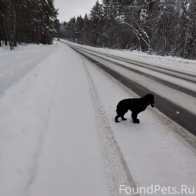 На трассе в сторону в сторону....