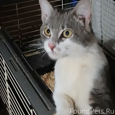 15 февраля на ул.Вагоностроите...