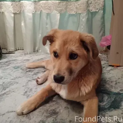 15.02.26. Краснооктябрьский ра...