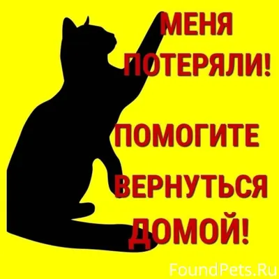 Пожалуйста репост. 15.02.2026г...