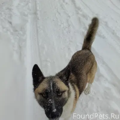 Здравствуйте Заберите эту соба...