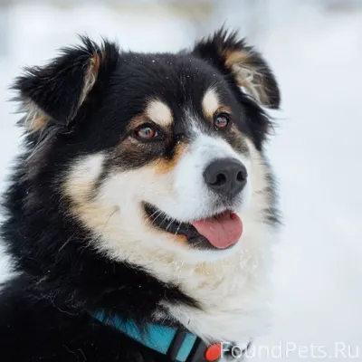 Адара (Ада)⭐️— маленькая звезд...