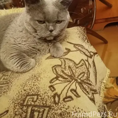 Прошу репоста! Недавно пристра...