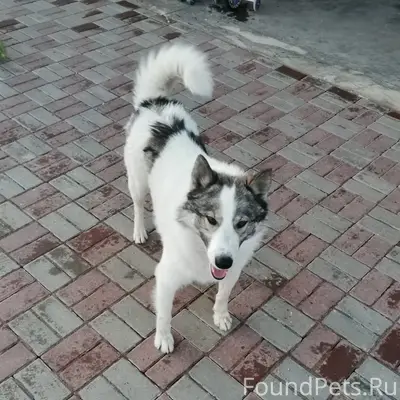 Вчера выставляли пост здесь пр...