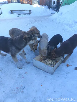 Здравствуйте. На заводе за гор...