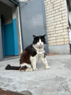 Пожалуйста максимально репост🙏...