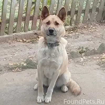 12.02 в д.Боброво Зубцовского....