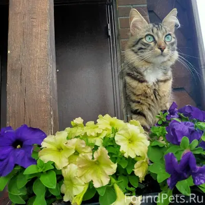 На ул.Первомайской, в Красных ...