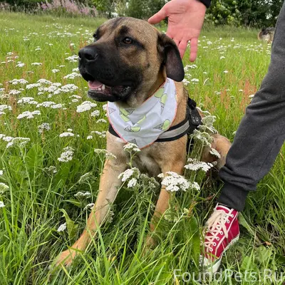 Друзья, здравствуйте! Срочно н...