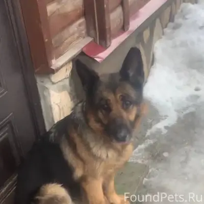 Г.Энгельс С набережной прибила...