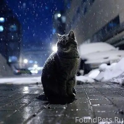 Хозяйка, знаешь! Я не обижаюсь...