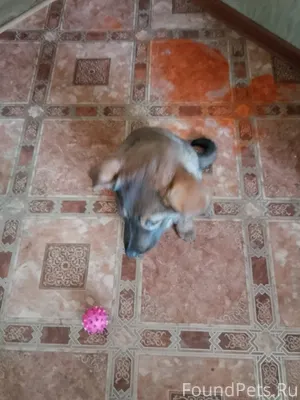 Две недели назад на остановке ...