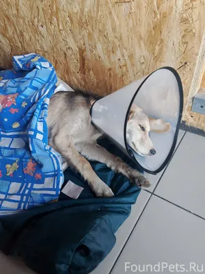 Vk.com/wall-4819465_957488 Дру...