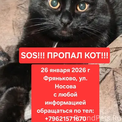 Помогаю информационно! ПРОПАЛ ...