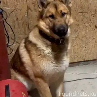 Здравствуйте. Опубликуйте, пож...