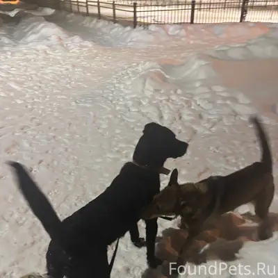 ЗАМЕРЗАЕТ! Коломна/Колычево. У...