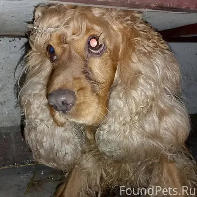 14.02.2026 года Ставропольский...