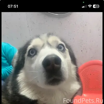 Всем доброго дня, потерялась с...