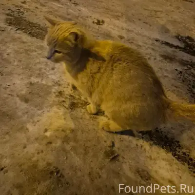 Прошу о помощи! Помогите пожал...