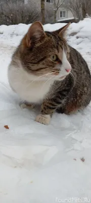 Здравствуйте, может кто то узн...