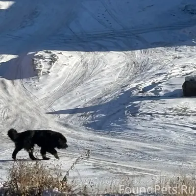 Добрый день, сегодня с утра хо...