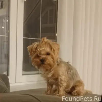 Здравствуйте! Минут 20 назад у...