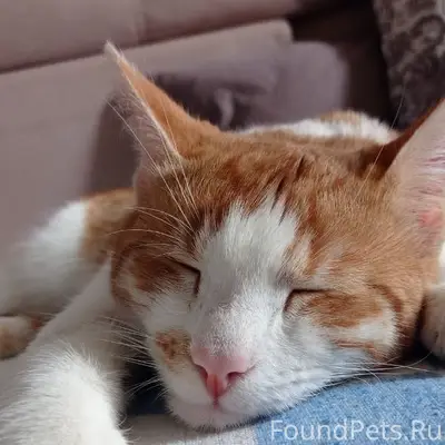 Друзья, здравствуйте! Просим п...