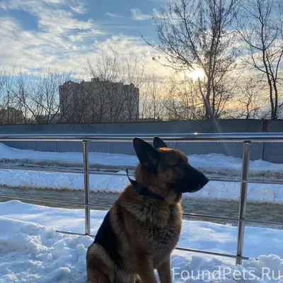 На остановке Кольцевая (перед ...