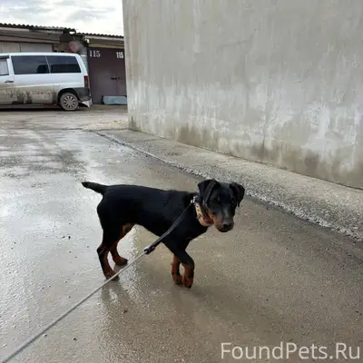 На ул. Севастопольской на запр...