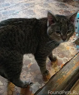 Добрый день! В районе родника ...