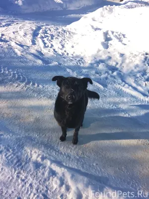 #Черныйсписок #Ржев Добрый ден...