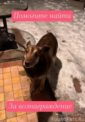 Здравствуйте. Очень нужна ваша...