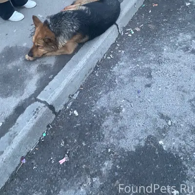 Сегодня 17фев в 7:30, остановк...